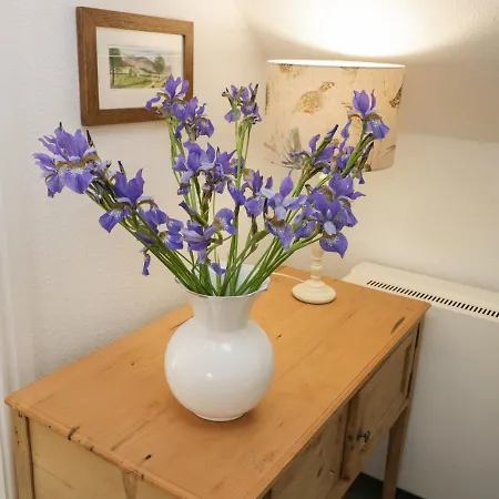 1 Belle Vue Holiday home *